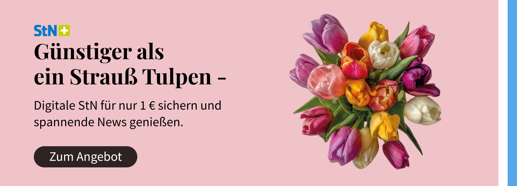 StN_AboShop_Grundrauschen_Desktop